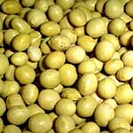 Glycemic Index of the Foods: GI of Soy Beans